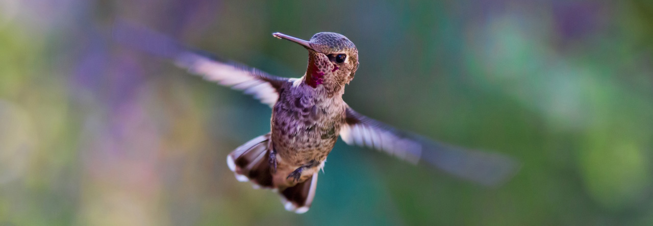 Psychoterapia Bielsko