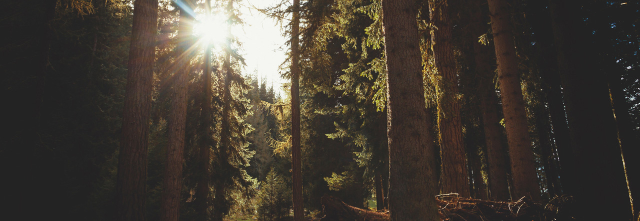 Psychoterapia Bielsko